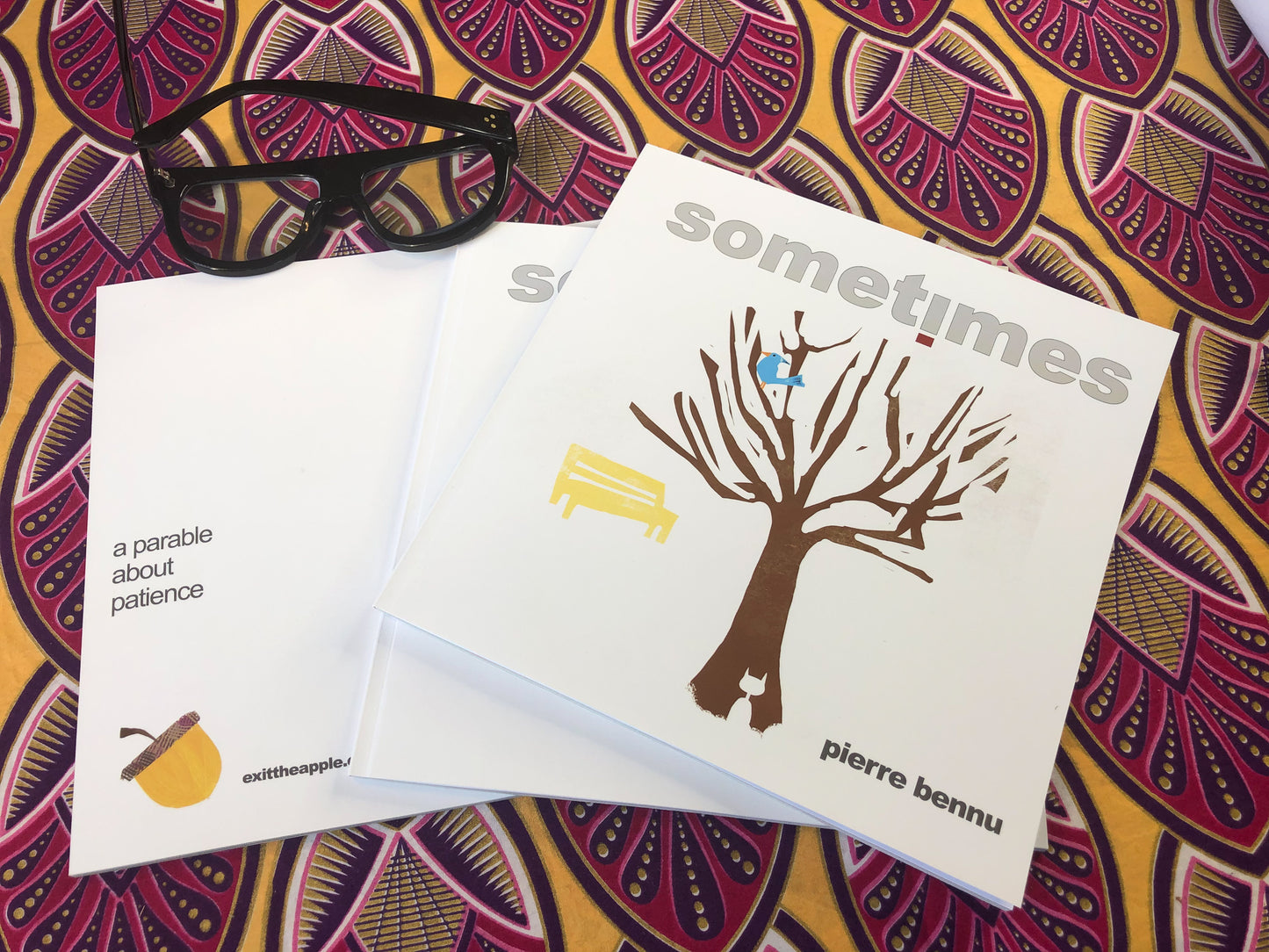 Sometimes (a parable about patience) - picture book for grownups