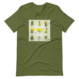 Dandelion t-shirt